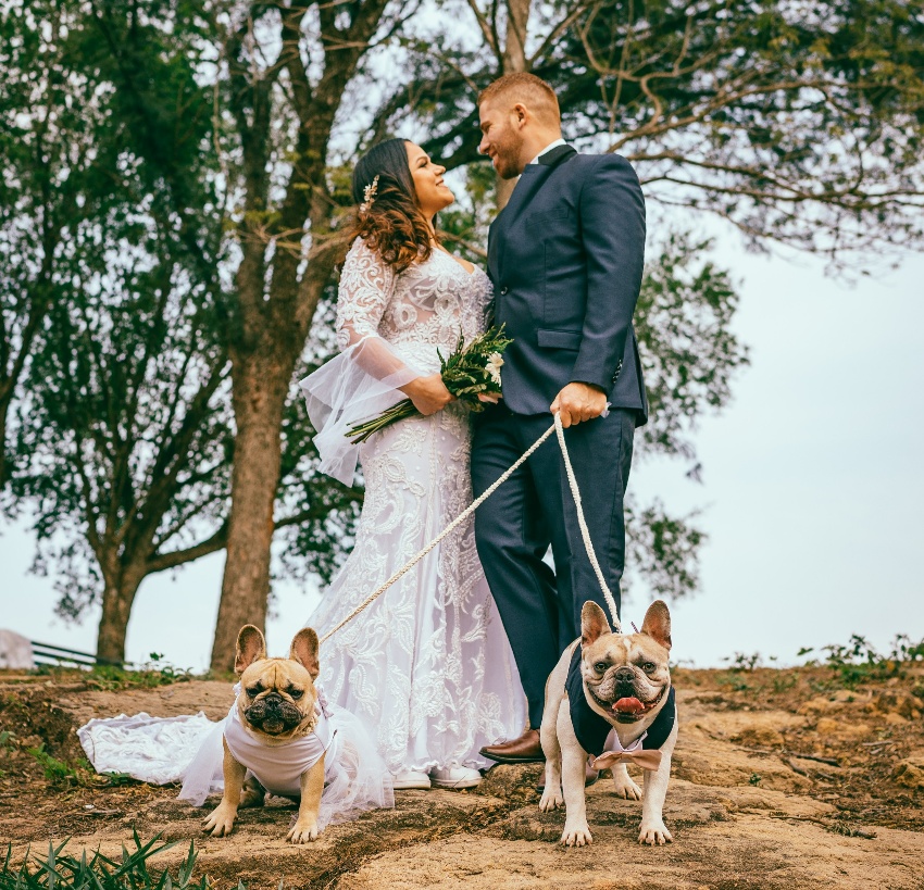 A Guide to Successfully Having Your Pet at your Wedding